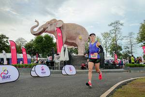 BIB: 
                            <button type="button" onclick="openModal(26528720)" class="btn btn-primary btn-sm float-right btn-popup" data-toggle="modal" data-target=".modal-high-quality">
                        <i class="fas fa-shopping-cart"></i> Add to Cart
                    </button>
                                            <button type="button" onclick="isThisMe(26528720, true)" class="btn btn-success btn-sm float-right btn-popup btn-isme hidden" data-toggle="tooltip" data-placement="bottom" title="นี่คือรูปของคุณใช่ไหม คลิกที่นี่เพื่อเอาเข้าอัลบั้ม">
                        <i class="fas fa-plus"></i> Add to album
                    </button>
                    <button type="button" onclick="isThisMe(26528720, false)" class="btn btn-warning btn-sm float-right btn-popup btn-isnotme hidden">
                        <i class="fas fa-ban"></i> Remove from album
                    </button>